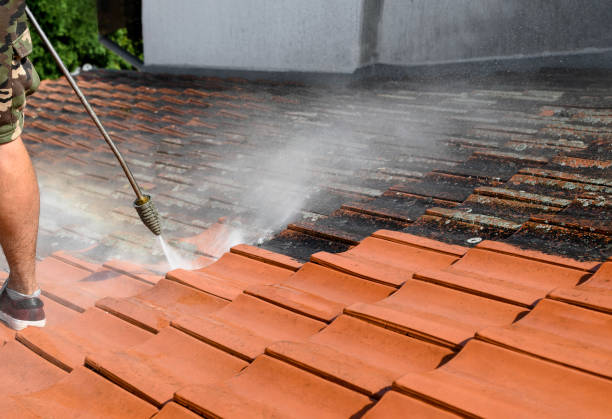 Best House Pressure Washing  in Sharpsburg, NC